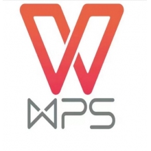 WPS Office 2019 for linux 专业版办公软件V11 正版授权激活3年服务期终身使用